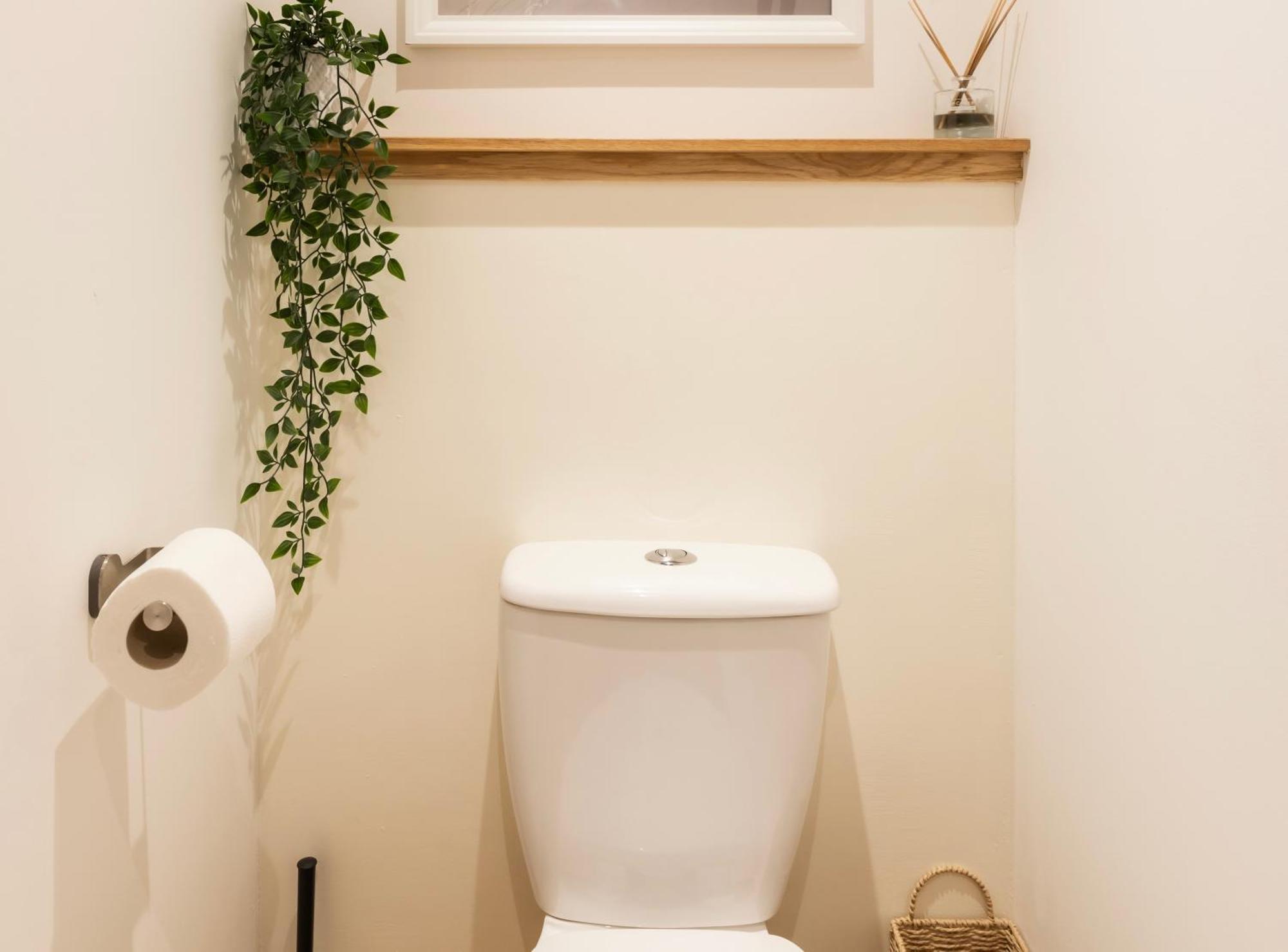 Tucked Away - Seaside Home In Anstruther Sleeps 6 מראה חיצוני תמונה